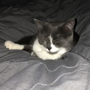 Meet your Posher, Audrey ann